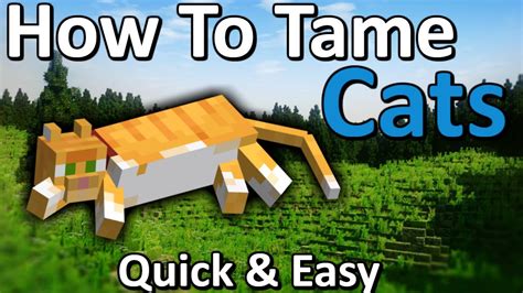 How To Tame A Cat In Minecraft