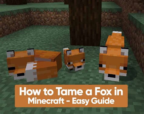 How To Tame A Fox In Minecraft