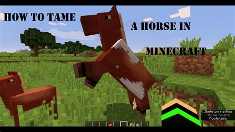 How To Tame A Horse In Minecraft