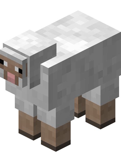 Minecraft Sheep