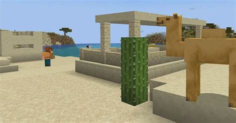 What Do Camels Eat In Minecraft